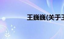 王巍巍(关于王巍巍的简介)