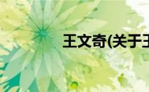 王文奇(关于王文奇的简介)