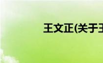 王文正(关于王文正的简介)