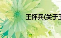 王怀兵(关于王怀兵的简介)