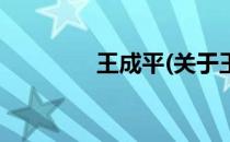 王成平(关于王成平的简介)