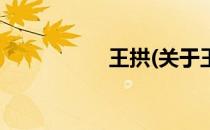 王拱(关于王拱的简介)