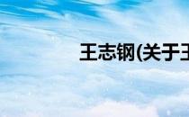 王志钢(关于王志钢的简介)