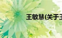 王敏慧(关于王敏慧的简介)
