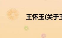 王怀玉(关于王怀玉的简介)