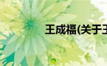 王成福(关于王成福的简介)