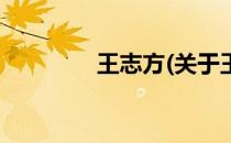王志方(关于王志方的简介)