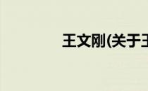 王文刚(关于王文刚的简介)
