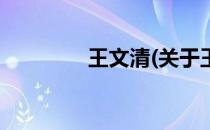 王文清(关于王文清的简介)