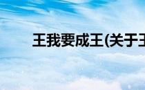 王我要成王(关于王我要成王的简介)