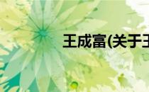 王成富(关于王成富的简介)