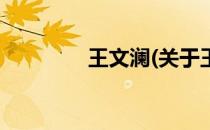王文澜(关于王文澜的简介)