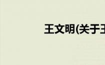 王文明(关于王文明的简介)