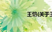 王恺(关于王恺的简介)