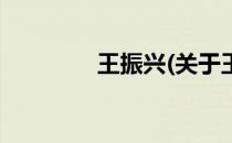 王振兴(关于王振兴的简介)