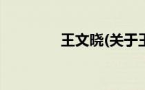 王文晓(关于王文晓的简介)