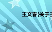王文春(关于王文春的简介)