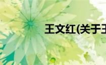 王文红(关于王文红的简介)