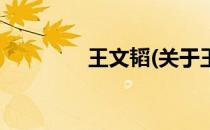 王文韬(关于王文韬的简介)