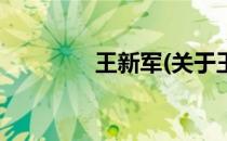 王新军(关于王新军的简介)