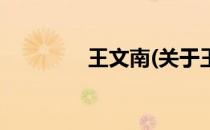 王文南(关于王文南的简介)