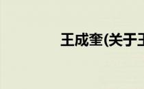 王成奎(关于王成奎的简介)