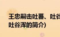 王忠嗣击吐蕃、吐谷浑(关于王忠嗣击吐蕃、吐谷浑的简介)