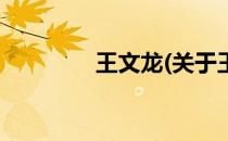 王文龙(关于王文龙的简介)