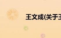 王文成(关于王文成的简介)
