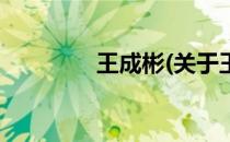 王成彬(关于王成彬的简介)