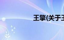 王擎(关于王擎的简介)