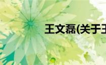 王文磊(关于王文磊的简介)