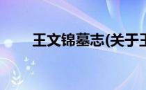 王文锦墓志(关于王文锦墓志的简介)