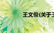 王文俊(关于王文俊的简介)