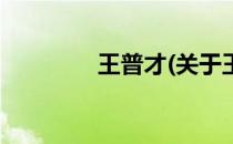王普才(关于王普才的简介)