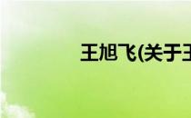 王旭飞(关于王旭飞的简介)