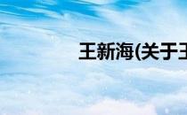 王新海(关于王新海的简介)