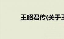 王昭君传(关于王昭君传的简介)
