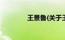 王景鲁(关于王景鲁的简介)