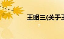 王昭三(关于王昭三的简介)