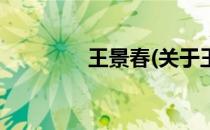 王景春(关于王景春的简介)
