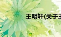 王明轩(关于王明轩的简介)