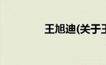 王旭迪(关于王旭迪的简介)