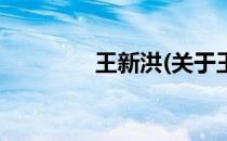 王新洪(关于王新洪的简介)