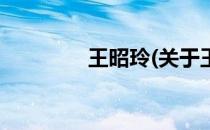 王昭玲(关于王昭玲的简介)