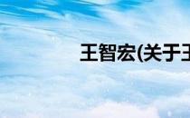 王智宏(关于王智宏的简介)