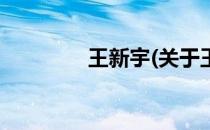 王新宇(关于王新宇的简介)