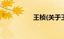 王桢(关于王桢的简介)