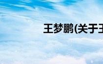 王梦鹏(关于王梦鹏的简介)