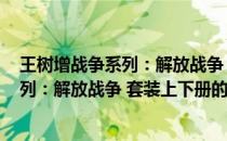 王树增战争系列：解放战争 套装上下册(关于王树增战争系列：解放战争 套装上下册的简介)